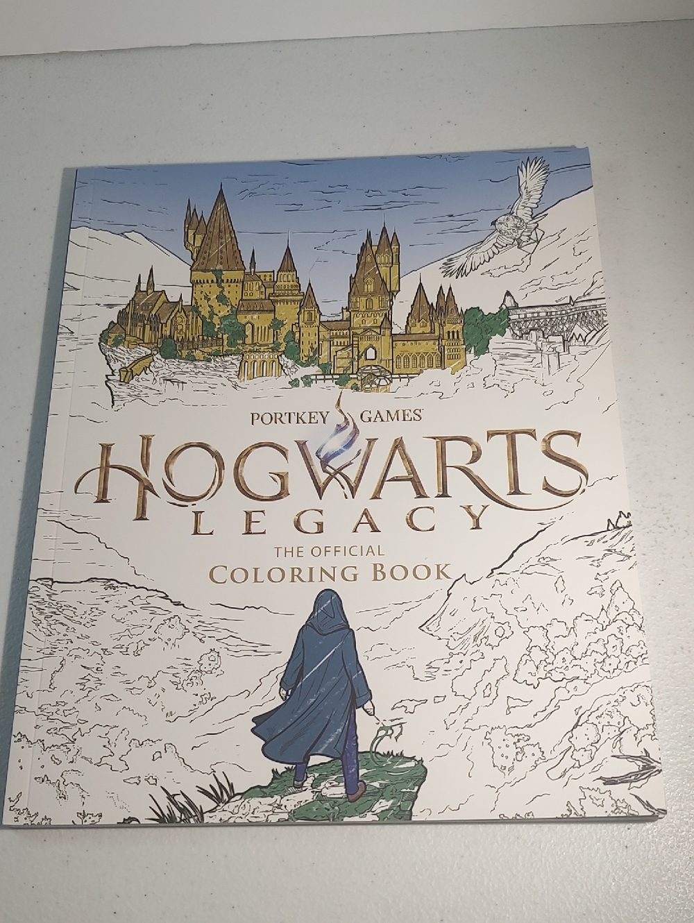 Hogwarts Legacy Official Coloring Book Portkey Games Harry Potter